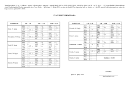 PLAN DOPUNSKOG RADA