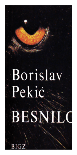 Borislav Pekić – Besnilo