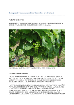 O drugom tretmanu u zasadima vinove loze protiv cikada