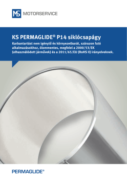 KS PERMAGLIDE® P14 siklócsapágy