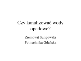 prof. dr hab. inż. Ziemowit Suligowski