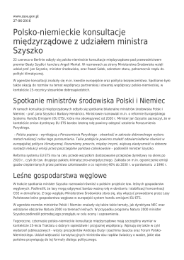 Polsko-niemieckie konsultacje międzyrządowe z udziałem ministra