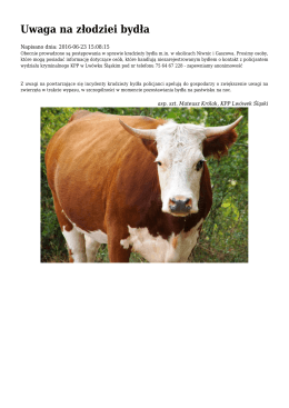 Uwaga na złodziei bydła