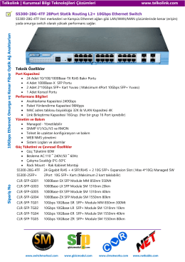 28Port Statik Routing L2+ 10Gbps Ethernet Switch