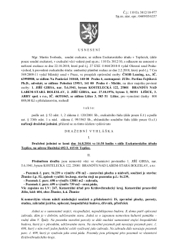 Č.j.: 110 Ex 3812/10-977 Sp.zn. zást. opr.