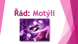 Řád: Motýli