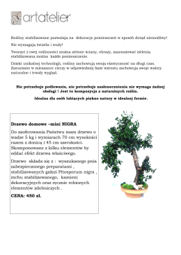Drzewo domowe –mini NIGRA Do zaoferowania