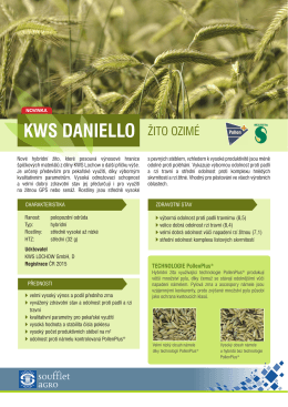 kws daniello - Soufflet Agro