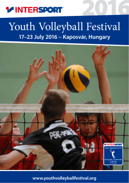 Youth Volleyball Festival
