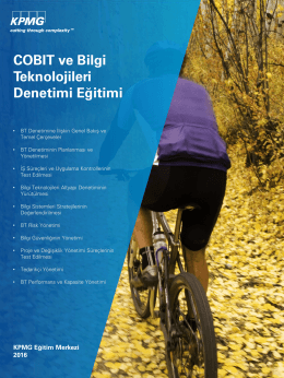 COBIT ve Bilgi Teknolojileri Denetimi (PDF 1,7MB)