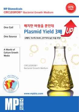 Plasmid Yield 3배