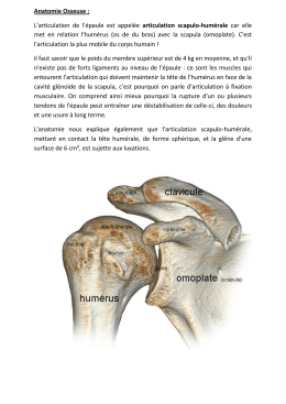 Anatomie Osseuse - docteur