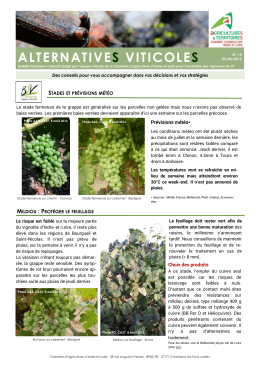 alternatives viticoles - Chambre d`Agriculture d`Indre et Loire