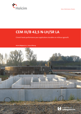 CEM III/B 42,5 N-LH/SR LA