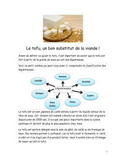 Le tofu, un bon substitut de la viande