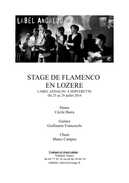 Programme détaillé 2016 - compagnie calle flamenca
