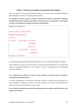 Etude d`une proteine membranaire des hematies