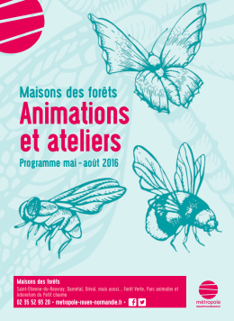 Animations et ateliers - Métropole Rouen Normandie