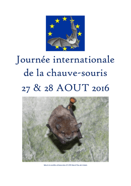 Nuit de la Chauve-souris 2016 : Hauts-de