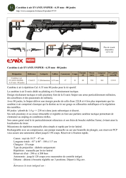80 joules Carabine à air EVANIX SNIPER - 6.35 mm
