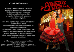 Plaquette Comédie Flamenca