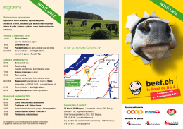 Flyer beef.ch Seigneux