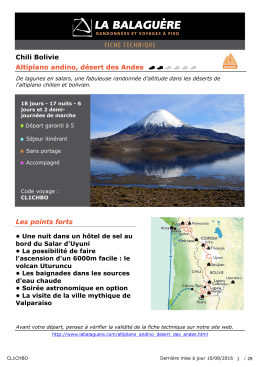 Chili Bolivie Altiplano andino, désert des Andes Les