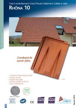 Rhôna 10 - IMERYS Roof Tiles