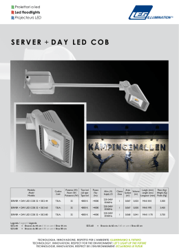 server + day led cob