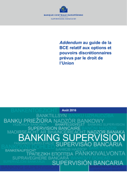 Addendum au guide de la BCE relatif aux options et pouvoirs