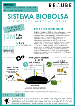 sistema biobolsa