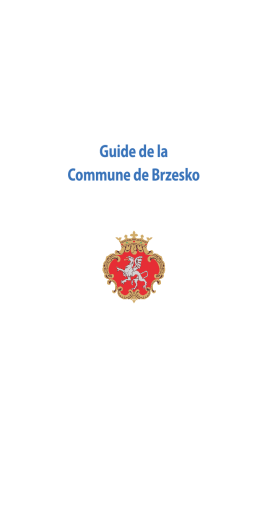 Guide de la Commune de Brzesko