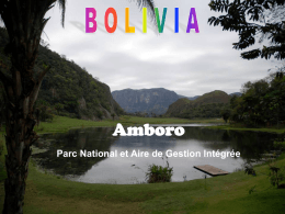 parc Amboro - index - La Bolivie en Voyages