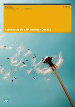 Nouveautés de SAP Business One 9.2