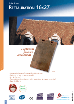 restauration 16x27 - IMERYS Roof Tiles