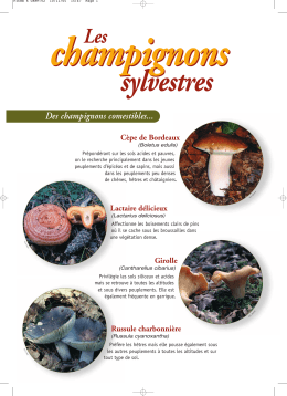 les champignons - Site du CRPF Languedoc Roussillon