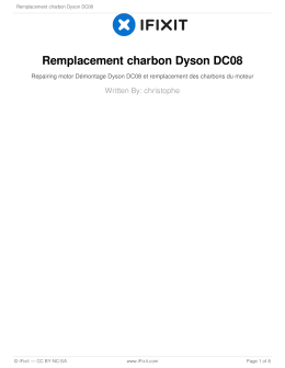Remplacement charbon Dyson DC08