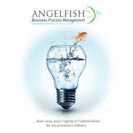 Téléchargez notre plaquette - Pourquoi AngelFish Conseil
