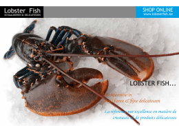 Lobster Fish LOBSTER FISH