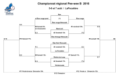 Championnat régional Pee-wee B 2016 5
