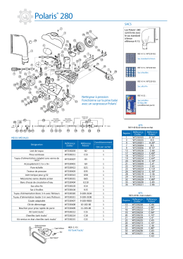 Polaris&reg; 280 - Cash Piscines