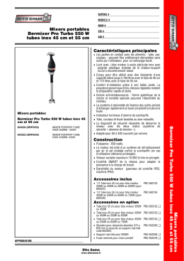 Bermixer Pro Turbo 550 W tubes inox 45 cm et 55 cm