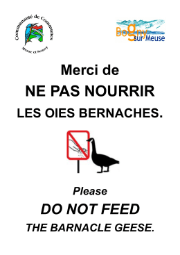 affiche interdiction nourrir bernaches - Bogny-sur