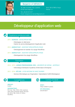 Développeur d`application web