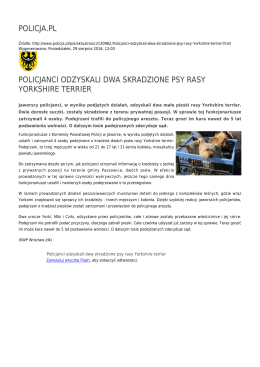 policja.pl policjanci odzyskali dwa skradzione psy rasy yorkshire terrier