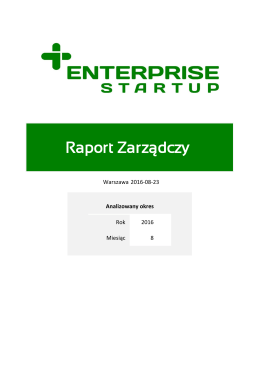 Raport Zarządczy - Enterprise Startup
