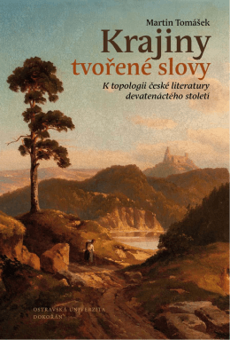 K topologii české literatury devatenáctého století