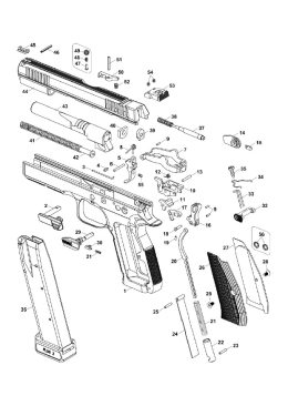 Rozkres CZ Shadow 2