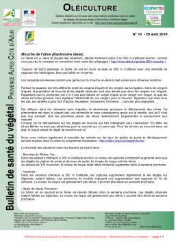 N° 10 - 29 août 2016 Mouche de l`olive (Bactrocera oleae)