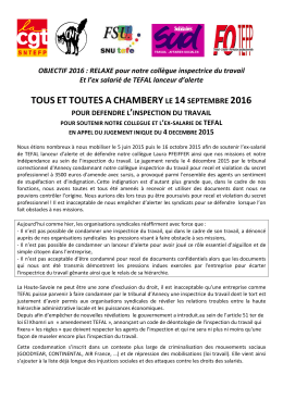 Procès en appel Tefal Chambéry 14 sept 2016 CGT-SUD-SNU